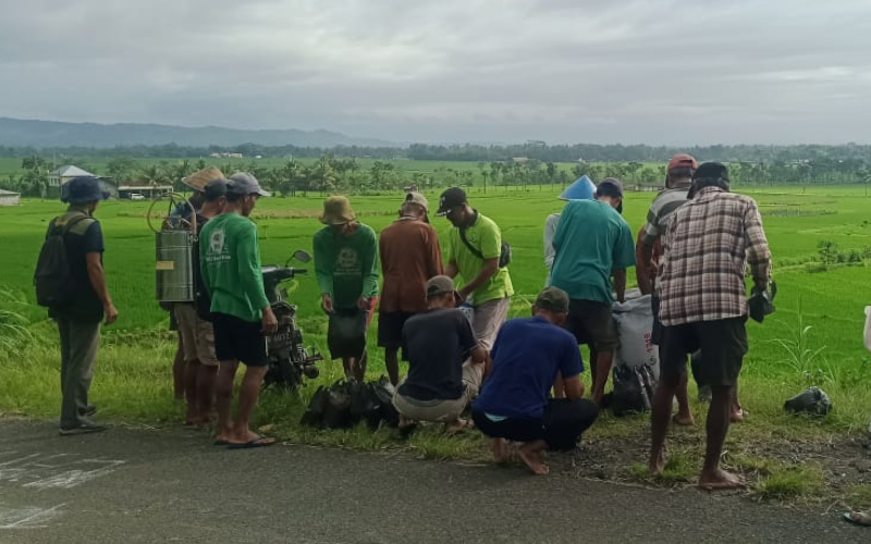 Gerdal Pengumpanan Tikus Dilaksanakan di Bulak Krikil Pendoworejo